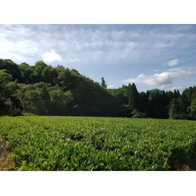 ふるさと納税 津和野町 津和野町産煎茶を使用した「粉末煎茶」30g×3パック |  | 03