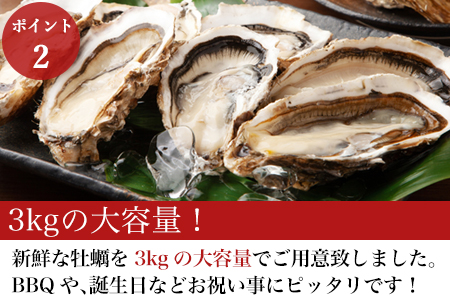 『先行予約』【令和7年1月10日から発送】いろは島の料理長が厳選！唐津産 牡蠣3kg ナイフ 軍手付 (加熱用殻付き) かき カキ 殻付き牡蠣 養殖 まがき 貝 海鮮 シーフード