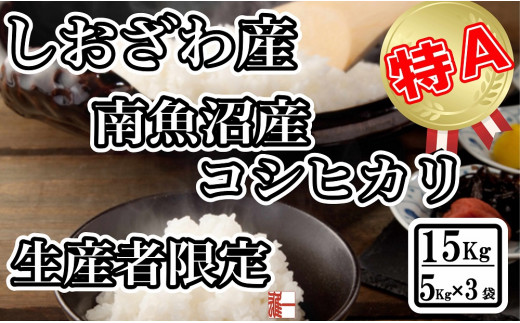
            【令和7年産】生産者限定 契約栽培 南魚沼しおざわ産コシヒカリ15Kg（５Kg×3袋）【2025年10月上旬より順次発送予定】
          