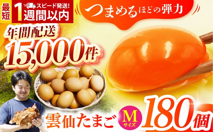 
            【卵 スピード発送】Mサイズ180個(170個＋割れ補償10個入り) 長崎県/塚ちゃん雲仙たまご村 [42ACAE007] 卵 玉子 タマゴ 鶏卵 長崎 島原 九州 大容量 たっぷり 
          
