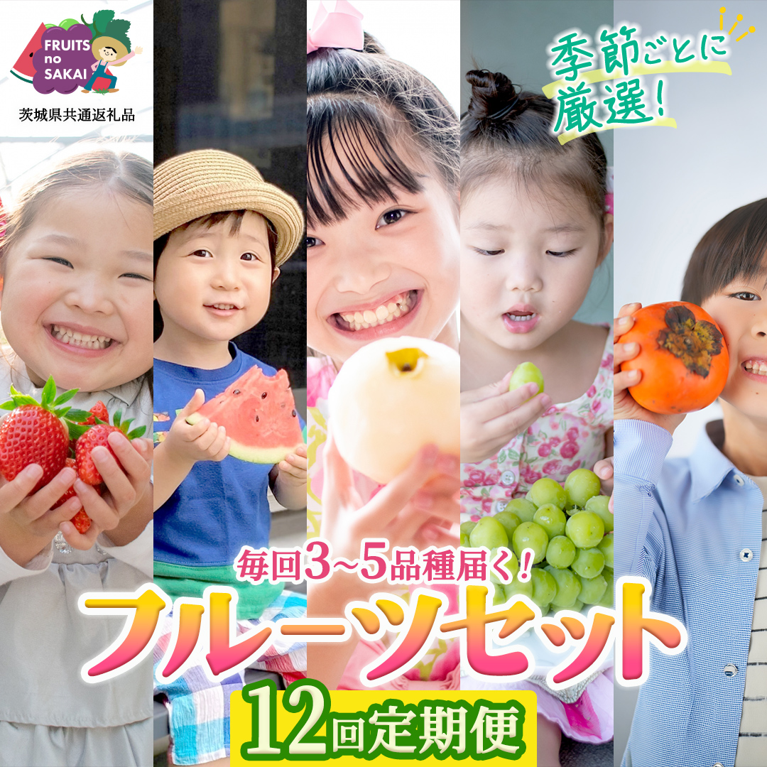 【定期便】フルーツセット（12回定期）（茨城県共通返礼品