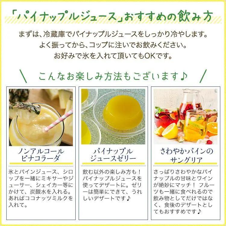 石垣島産 パイナップルジュース 500ml×10本