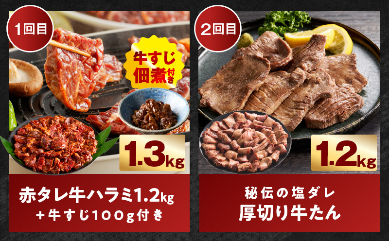 わくわくお肉定期便 全6回 合計7kg【ハラミ 牛たん 豚トロ 焼肉 BBQ やきにく ファミリー 定期便】 099Z575_イメージ3