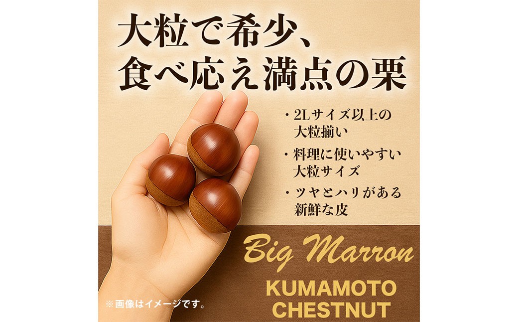 生栗 クリ 大粒2L以上 約3kg