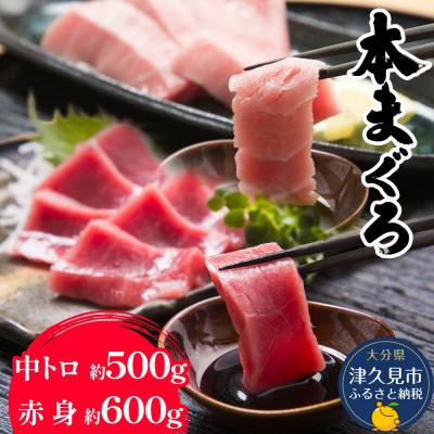 ふるさと納税 津久見市 【本まぐろ】中トロ 約500g・赤身　約600gセット
