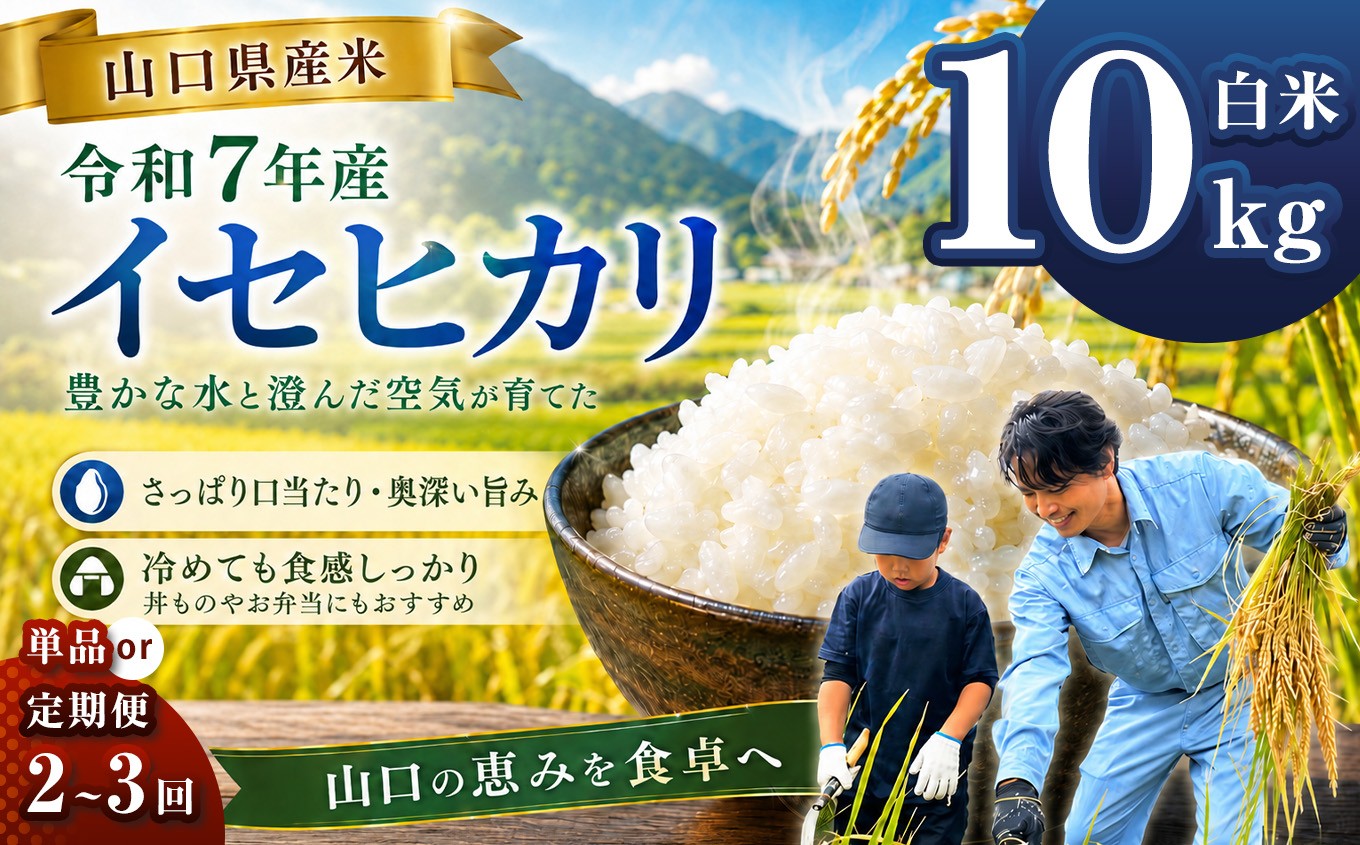 
                  令和7年産 山口県産米 イセヒカリ 10kg 【 単品 / 定期便 】 選べる 配送回数 1回 2回 3回 ｜ 令和7年産 いせひかり 山口県産米 こめ お米 コメ 白米 精米 ごはん ご飯 瀬戸内 山口県 平生町 10kg
                