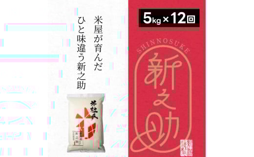 【令和7年産新米】【12ヶ月定期便】 特別栽培米 新之助 5kg (5kg×1袋)×12回 米杜氏 壱成 白米 精米 大粒 つや 光沢 弾力 芳醇 1H50217