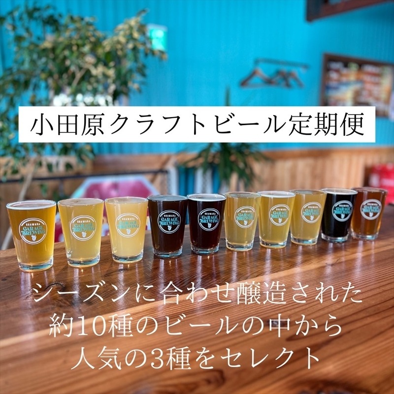 203-3202　季節限定　小田原クラフトビール3種×各2本　【定期便：3カ月に1回 計4回お届け】   クラフトビール・地ビール【 ビール お酒 神奈川県 小田原市 】