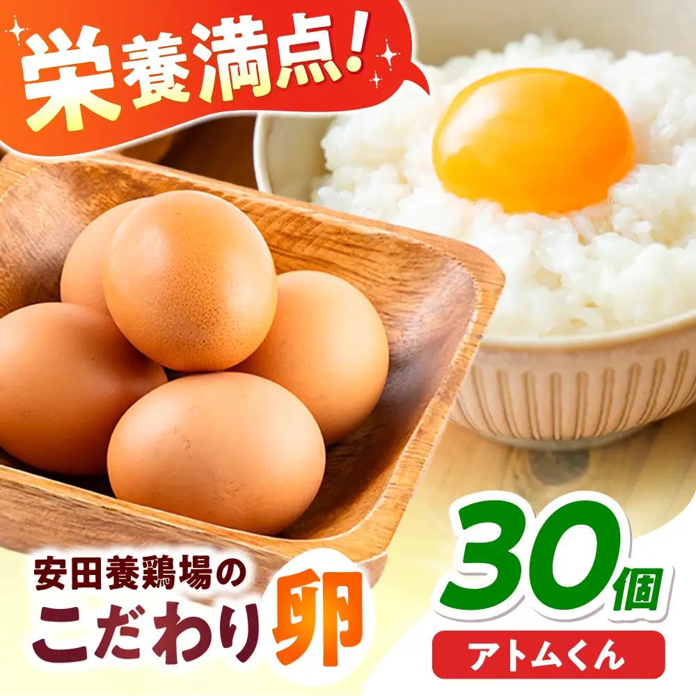 安田養鶏場のたまご アトムくん 30個入 AKHN002 たまご