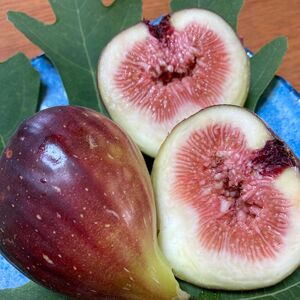 いちじくジャム 160g