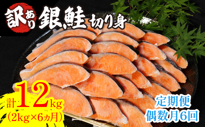 定期便 6回 偶数月 訳あり 鮭 切り身 2kg×6回 計12kg 冷凍 切身 サイズ 不揃い 規格外 サケ シャケ 塩銀鮭 人気の海鮮返礼品 カマ サーモン 魚 家庭用 おかず 【北海道･沖縄･離島への配送不可】