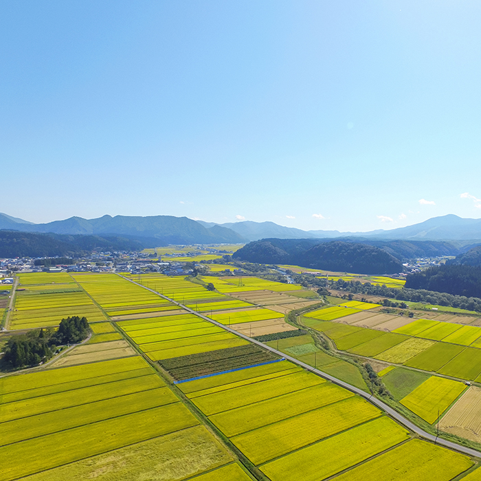 【令和8年産予約】【無洗米】山形県産もがみ誉れ10kg
