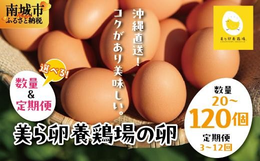 
                  【選べる内容量】【選べる配送種類】卵の黄身が掴めるほどの新鮮さ 美ら卵養鶏場の卵   I  たまご タマゴ  卵 美ら卵 養鶏場 美ら卵 新鮮  養鶏場    沖縄県 南城市 ふるさと納税 有限会社 美ら卵養鶏場
                