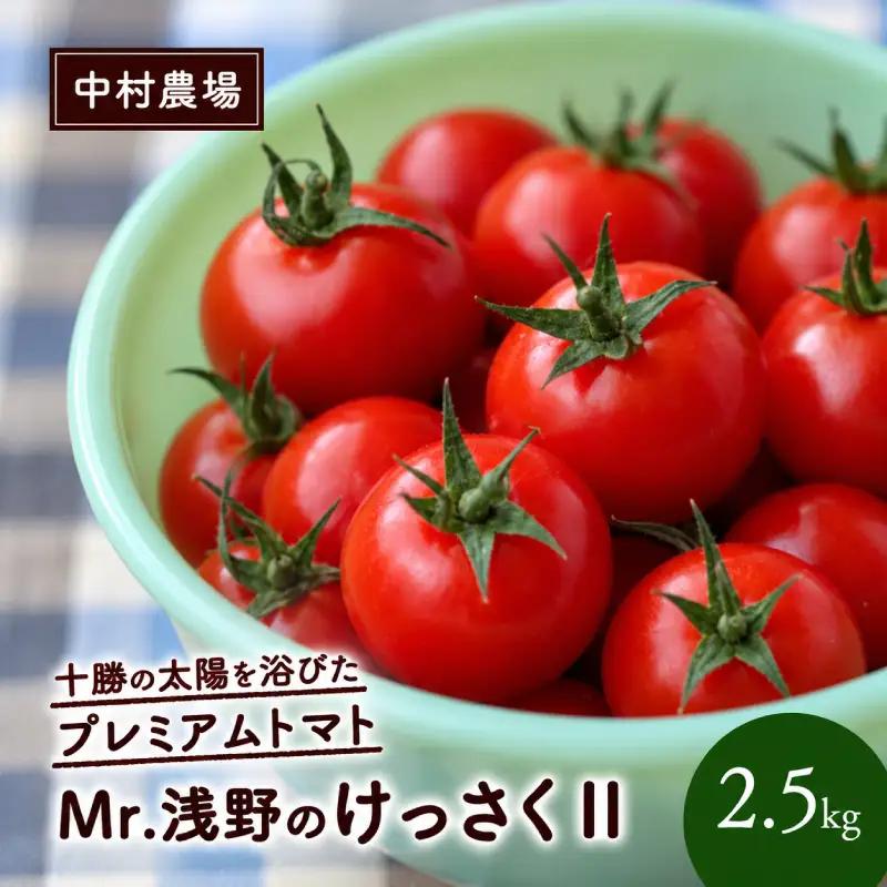 訳あり プレミアムトマト 2.5kg Mr.浅野のけっさく2 トマト