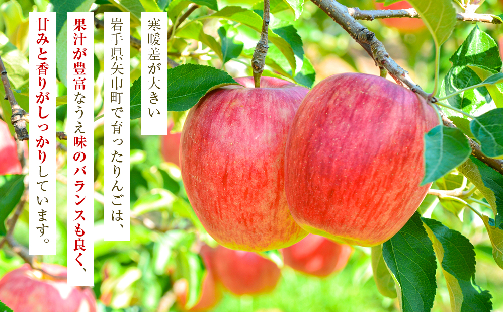 搾りたて果汁100％！無添加りんごジュースお楽しみ６本セット　訳あり