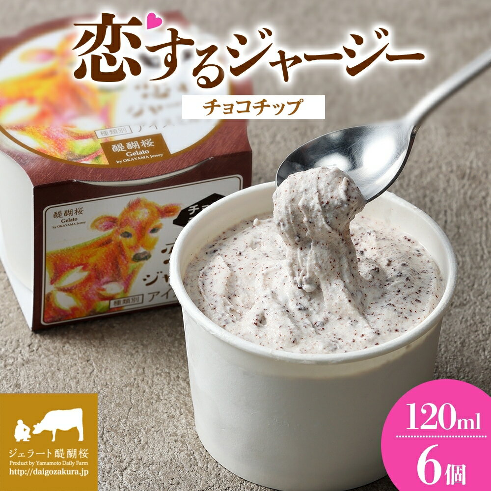 【ふるさと納税】 【ジェラート醍醐桜】 恋するジャージーチョコチップ 6個セット / 岡山 真庭 醍醐桜 極上スイーツ 濃厚 プレゼント 贈答 デザート ギフト ジャージー牛 ミルク ジェラート おやつ チョコレート 冷凍 人気 贅沢 家庭用にも 【配送不可：離島】