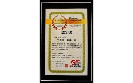 【 8月下旬発送開始 令和7年産 新米 先行予約 】山香ゆうきの会の米 5kg（精米：コシヒカリ） 新米 5kg 米 早場米 先行予約 先行受付 ＜002-021＞