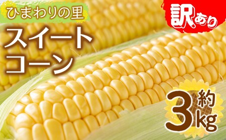 ＜先行予約！2027年6月上旬以降順次発送予定＞＜訳あり・家庭用＞イエローコーン(約3kg) 香川県 国産 トウモロコシ とうもろこし 新鮮 冷蔵便 【man114-A】【Aglio nero】