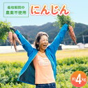 【ふるさと納税】 人参 約4kg 栽培期間中 農薬不使用 にんじん ニンジン 野菜 カロテン 食物繊維 栽培期間中農薬不使用