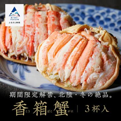 ふるさと納税 小松市 「香箱ガニ」3杯セット 石川冬の味 かに 蟹 せこがに