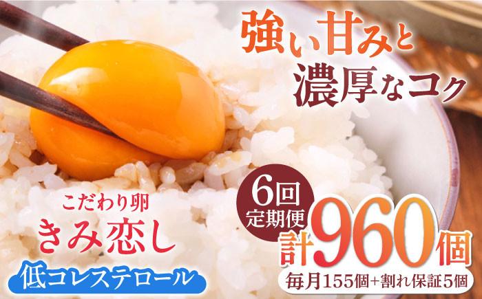 
                  【6回定期便】きみ恋し 160個（155個+割れ保証5個）×6ヶ月 総計960個 広川町/伊藤養鶏場 [AFAJ017]
                
