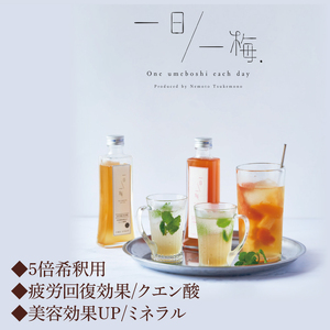 【数量限定】一日一梅 梅シロップ ２種類詰合せ ５倍希釈（200ml×各１本）（CU-4）