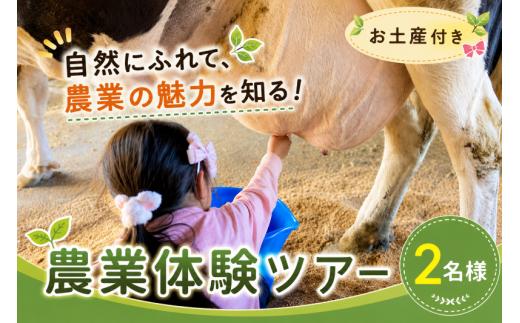 【先着2組様限定】農業体験ツアー 体験 野菜 農作業 農業体験 家族 畑 お土産 乳搾り 収穫体験 こども 親子 ファミリー レジャー わくわく冒険ツアー 新潟 新潟県 新発田 furusatotax008