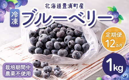 【定期便12カ月】北海道 豊浦町産 冷凍 ブルーベリー 1kg 栽培期間中農薬不使用 【 ふるさと納税 人気 おすすめ ランキング 果物 ブルーベリー 冷凍ブルーベリー 国産ブルーベリー 濃厚ブルーベリー 大容量 無農薬 おいしい 美味しい あまい 新鮮 定期便 北海道 豊浦町 送料無料 】 TYUS003