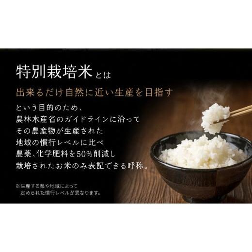 ふるさと納税 木津川市 京都府木津川市 特別栽培米 ひのひかり 精米20kg(5kg×4袋)毎日の健康に |  | 02