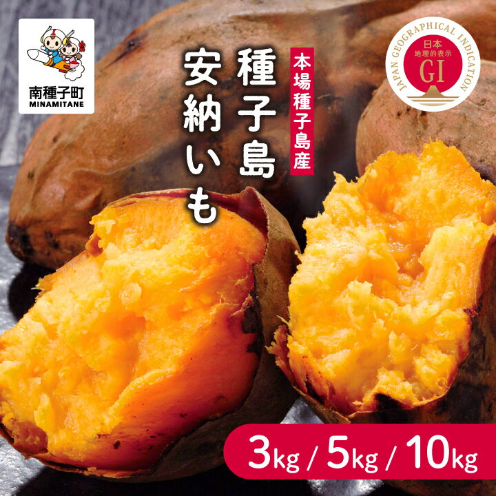 【ふるさと納税】【先行予約】 種子島 安納いも さつまいも 3kg 5kg 10kg 焼きいも 焼き芋 本場 安納芋 さつま芋 甘い ねっとり スイーツ おやつ グルメ お取り寄せ おせち 人気 種子島産 返礼品 南種子町 鹿児島 かごしま 【観光物産館トンミー市場】
