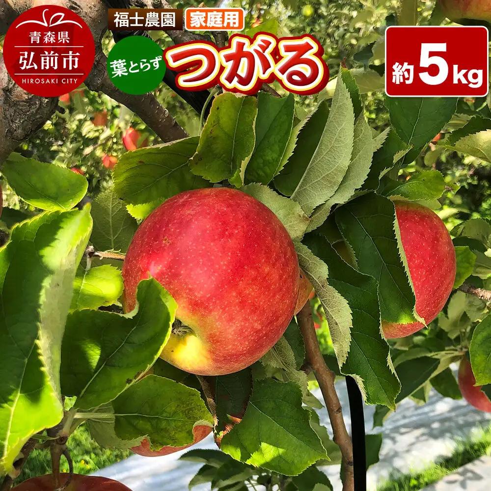 【26年9月発送】りんご 葉とらず つがる【家庭用】約5kg 青森県 弘前市