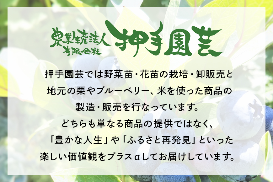 冷凍ブルーベリー 約1kg ブルーベリー 冷凍 フルーツ 果物 くだもの 冷凍フルーツ 冷凍果物 完熟 新鮮 人気 ギフト 贈り物 プレゼント 茨城県産 55-C