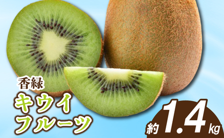 先行予約 キウイ 香緑 約1.4kg キウイ 配送：11月下旬～1月中旬