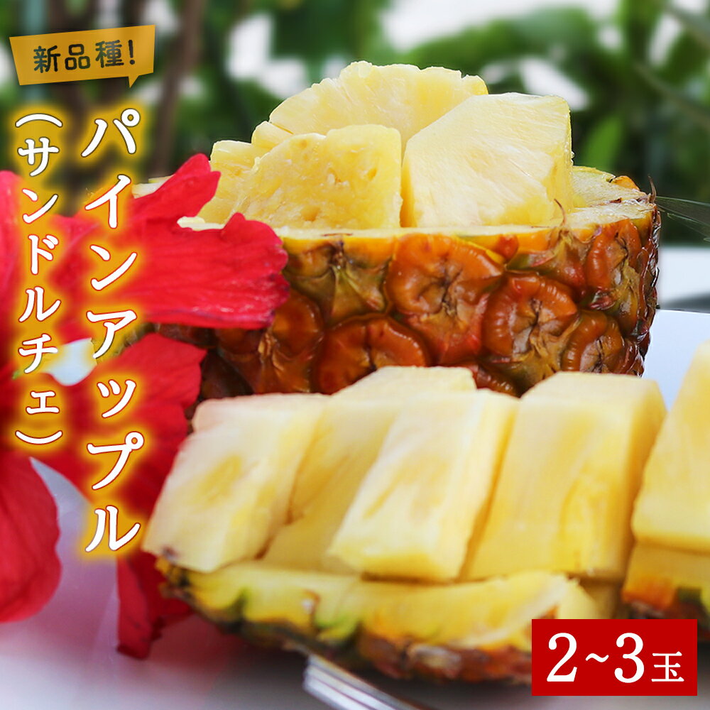 【ふるさと納税】 【2025年7月下旬～8月頃配送】今帰仁産 パインアップル（ サンドルチェ ）2～3玉