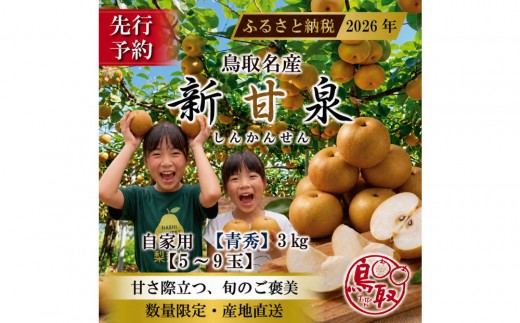 三ツ田農園 新甘泉(青秀)3kg【8月中旬以降お届け】