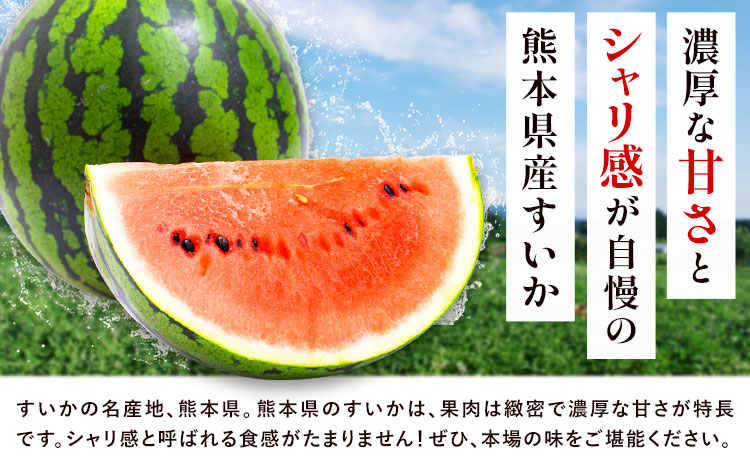 【先行予約】厳選すいか 1玉(8-9kg) 道の駅七城メロンドーム《5月中旬-6月中旬頃出荷》品種おまかせ ランダム 肥後漫遊 味で勝負iS 祭りばやし 果物 フルーツ スイカ 西瓜 九州産 熊本県産