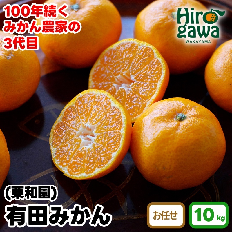 有田 みかん 10kg 栗和園 / 温州みかん 有田みかん 甘い 和歌山 柑橘 ※2026年11月上旬～12月下旬に順次発送 【krw004-l-10】