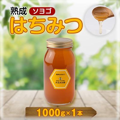 ふるさと納税 瑞浪市 純粋ハチミツ(ソヨゴ1000g×1)