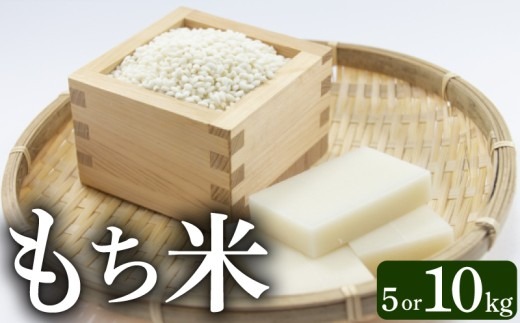 令和8年産もち米 5kg 10kg 新米 こめ おこめ 精米 お米 コメ ごはん おコメ もち米 餅米 ヒヨクモチ 炊飯 もちもち食感 おもち 赤飯 おこわ ちまき 2026年 R8年 新嘗祭 皇室献上米 農家 高知県 安芸市 高知県