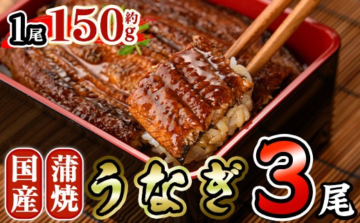 国産 うなぎ 蒲焼 (約150g×3尾) 鰻 タレ かば焼き うな重 うな丼 ひつまぶし 小分け 真空包装 真空パック 【AW-93】【丸正水産】