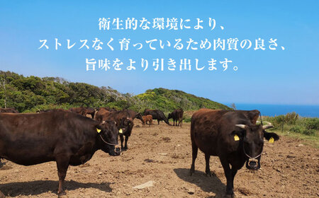 熊本県産 黒毛和牛 サーロイン ステーキ 1枚 約200g【有限会社九州食肉産業】 肉 牛肉 ロース ステーキ A4 A5 国産 黒毛和牛 九州産 熊本県産 サーロイン 黒毛和牛サーロインステーキ 和