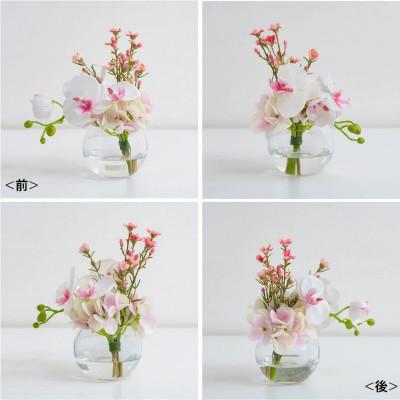 ふるさと納税 名張市 アートフラワー エミリオロバ ファレノプシスリップピンクS TTNTA50120[53940138] |  | 01