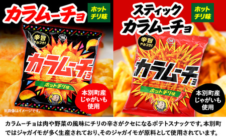 『湖池屋 ポテトチップス＆ 柳月 三方六小割』セット 本別町観光協会 送料無料《30日以内に出荷予定(土日祝除く)》ポテトチップス　北海道ポテトチップス　湖池屋ポテトチップス　おつまみポテトチップス　
