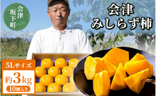 23-C 柿 会津みしらず柿 5Lサイズ 10個入り 約3kg | フルーツ くだもの 果物 柿 かき カキ 産地直送 先行受付 福島県 会津坂下町 ※2026年11月～発送