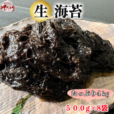 
岬だよりの＜数量限定＞生海苔(冷凍)500g×8袋(4kg)【1483906】
