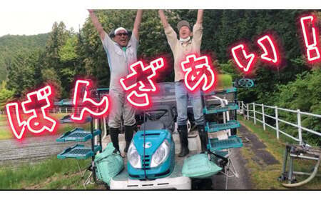 令和7年度産 農家直送「山ちゃんのお米」コシヒカリ20kg