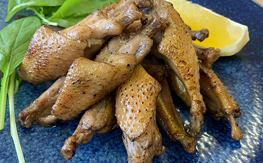 【ファミリーサイズ500g】おおいた冠地どりチキンバー直火焼き【配送不可地域：離島】