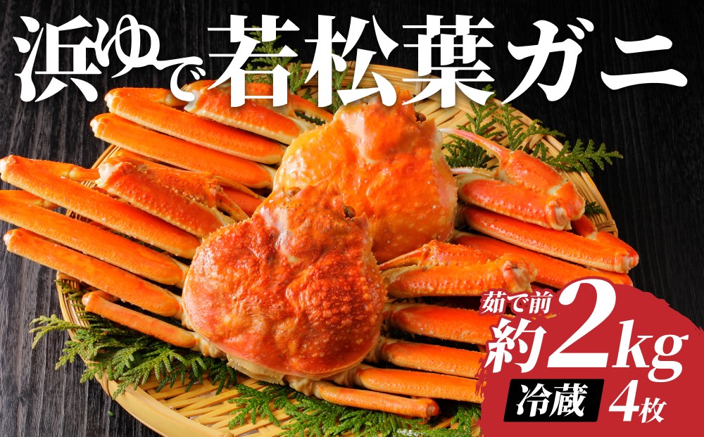 
            【先行予約】鳥取県岩美町特産 若松葉ガニ姿茹で 4枚セット【22044】
          