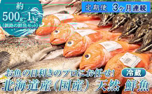【定期便 3ケ月連続】 お魚の目利きのプロにお任せ！北海道産（国産） 天然 鮮魚 約500g～1kg（釧路の鮮魚セット） 産地直送 冷蔵 冷蔵便 刺身 セット 鮮魚セット 鮮魚ボックス 定期便 魚介類 海鮮 絶品 人気 ヒロセ 北海道 釧路町 釧路超 特産品