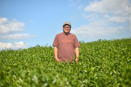 緑茶 長崎 そのぎ茶 特上 夕凪 90g 3袋